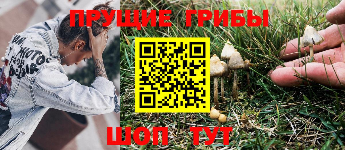 Галлюциногенные грибы Magic Shrooms Изобильный